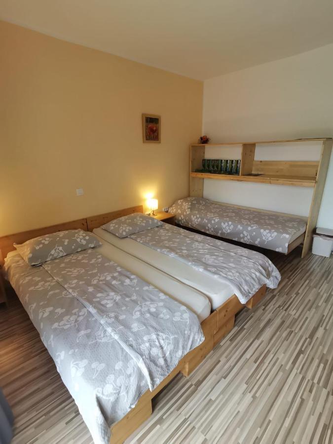 Apartment Rakuscek Kobarid Extérieur photo